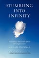 Stumbling Into Infinity, Fischman Michael