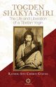 Togden Shakya Shri, Kathog Situ Ch Kyi Gyatso