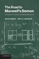 The Road to Maxwell's Demon, Hemmo Meir