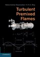 Turbulent Premixed Flames, 