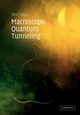 Macroscopic Quantum Tunneling, Takagi Shin