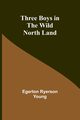 Three Boys in the Wild North Land, Young Egerton Ryerson