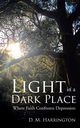 Light in a Dark Place, Harrington D. M.