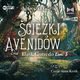 Blask Corredo Tom 3 cieki Avenidw, Grzelak Agnieszka