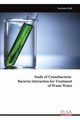 Study of Cyanobacteria-Bacteria Interaction for Treatment of Waste Water, Dash Karisma