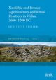Neolithic and Bronze Age Funerary and Ritual Practices in Wales, 3600-1200 BC, Tellier Genevi?ve