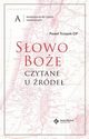 Sowo Boe czytane u rde Komentarze do czyta niedzielnych.Rok A, Trzopek Pawe