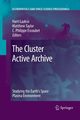 The Cluster Active Archive, 