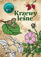 Krzewy lene Kolorowanka, Kopiec Sekieta Katarzyna