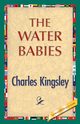 The Water-Babies, Kingsley Charles