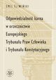 Odpowiedzialno karna w orzecznictwie Europejskiego Trybunau Praw Czowieka i Trybunau Konstytucyjnego, liwiski Emil