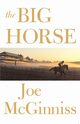The Big Horse, McGinniss Joe Jr.