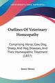 Outlines Of Veterinary Homeopathy, Moore James