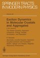 Exciton Dynamics in Molecular Crystals and Aggregates, 