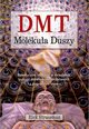 DMT. Molekua duszy, Strassman Rick