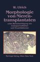 Morphologie Von Nierentransplantaten, Ulrich Walter