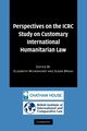 Perspectives on the Icrc Study on Customary International Humanitarian Law, 