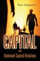 Capital and Dominant Capital Relations, Stipanovic Boro