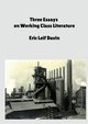 Three Essays on Working Class Literature, DAVIN ERIC LEIF
