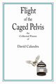 Flight of the Caged Pelvis, Calandra David