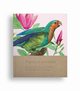 Plants and animals, 