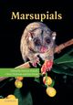 Marsupials, 