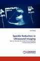 Speckle Reduction in Ultrasound Imaging, Zhang Yan