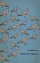 A Guide to Domestic Pigeons - With Chapters on Doves, Training and Their Habits, Anon