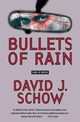 Bullets of Rain, Schow David J