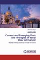 Current and Emerging First-line Therapies in Renal Clear-cell Cancer, Tegos Theodoros