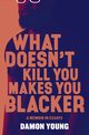 What Doesn't Kill You Makes You Blacker, Young Damon