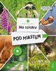 Modzi przyrodnicy Na szlaku Pod miastem, Zarawska Patrycja