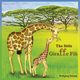 The Little Giraffe Fili, Stricker Wolfgang
