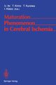 Maturation Phenomenon in Cerebral Ischemia, 