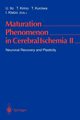 Maturation Phenomenon in Cerebral Ischemia II, 