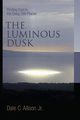Luminous Dusk, Allison Dale C