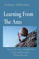 Learning From The Ants, Adefarakan Anthony