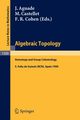 Algebraic Topology, 