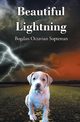 Beautiful Lightning, Sopterean Bogdan Octavian