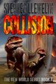 COLLISION, Llewelyn