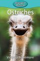 Ostriches, Blakemore Victoria