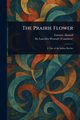 The Prairie Flower, Aimard Gustave