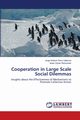 Cooperation in Large Scale Social Dilemmas, Parra Valencia Jorge Andrick