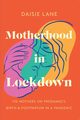 Motherhood in Lockdown, Lane Daisie
