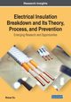 Electrical Insulation Breakdown and Its Theory, Process, and Prevention, Du Boxue