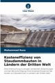 Kosteneffizienz von Staudammbauten in Lndern der Dritten Welt, Raza Muhammad