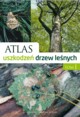 Atlas uszkodze drzew lenych, Hartmann Gnter, Nienhaus Franz, Butin Heinz