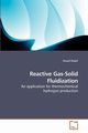 Reactive Gas-Solid Fluidization, Haseli Yousef