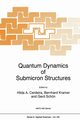 Quantum Dynamics of Submicron Structures, 