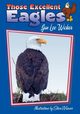 Those Excellent Eagles, Wicker Jan Lee